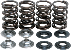 Valve Spring Kit