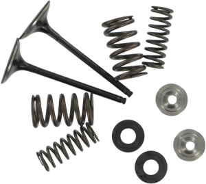 Stainless Steel Conversion Valve And Spring Kit