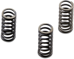 Csk Series Heavy Duty Clutch Spring Kit, 2, nordicamoto.ro