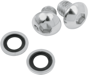 Fork Drain Screw Kit Silver
