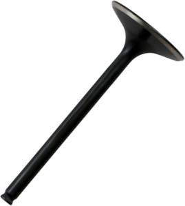Black Diamond Engine Valve