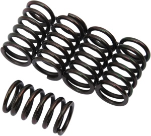 Clutch Spring Kit Black, 1, nordicamoto.ro