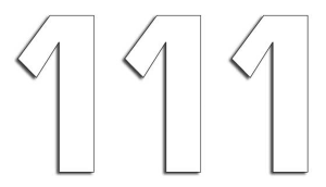 Two Series Numbers White, 1, nordicamoto.ro