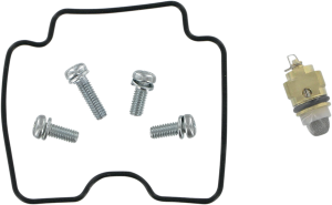 Economy Carburetor Repair Kit
