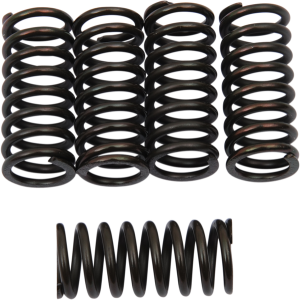 Clutch Spring Kit Black, 1, nordicamoto.ro