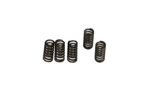 Csk Clutch Spring Set