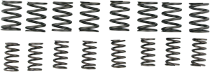 Valve Spring Kit