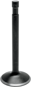 Black Diamond Engine Valve