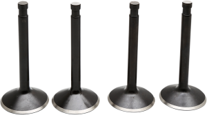 Engine Valve Kit, 1, nordicamoto.ro