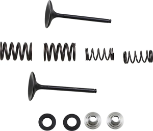 Stainless Intake Valve And Spring Kit, 2, nordicamoto.ro