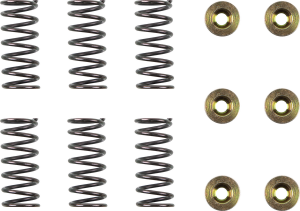 Clutch Spring Kit