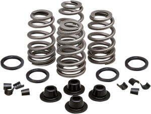 Valve Spring Kit