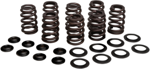 Beehive Valve Spring Kit