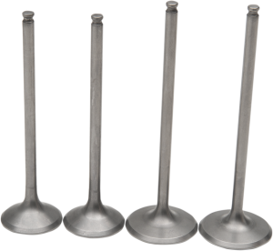 Pro Valve Kit 