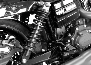Revo Dyna Coil Suspension Black, Anodized, 4, nordicamoto.ro