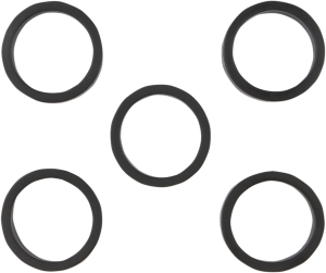 Intake Manifold Seal