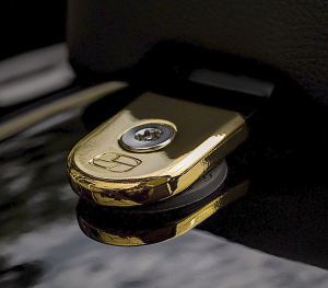 Security Seat Screw Gold
