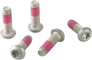 Brake Rotor Bolt Set Silver, Stainless Steel