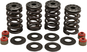 Valve Spring Kit, 1, nordicamoto.ro
