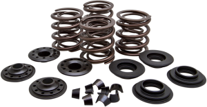 Complete Valve Spring Kit, 1, nordicamoto.ro