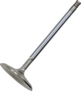White Diamond Engine Valve