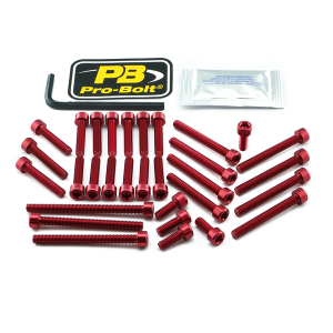 Bolt Kit Silver