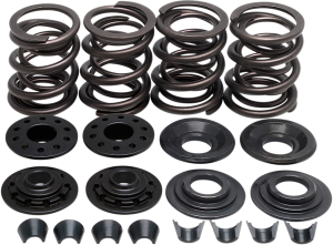 Complete Valve Spring Kit