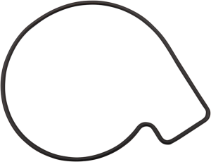 Water Pump Shaft Seal