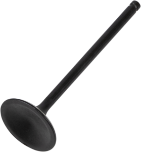 Black Diamond Engine Valve