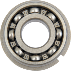 Counterbalance Shaft Bearing, 1, nordicamoto.ro