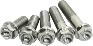 Titanium Screws Unfinished
