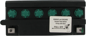 Conventional Battery