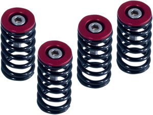 Clutch Spring Kit Black, Red, Powder-coated, Anodized