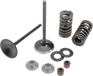 Stainless Steel Conversion Valve And Spring Kit, 1, nordicamoto.ro