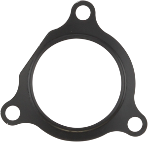 Exhaust Gaskets