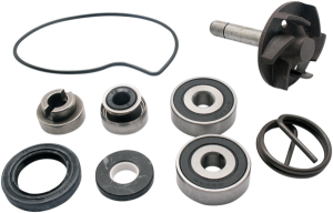 Water Pump Repair Kit