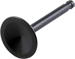 Nitrided Valve