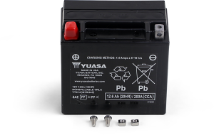 Agm Maintenance-free Battery Black
