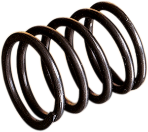 Rotary Valve Spring