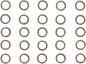 Pushrod Cover Seals