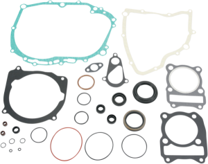 Complete Gasket And Oil Seal Kit