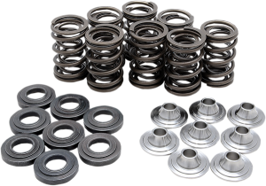 Valve Spring Kit