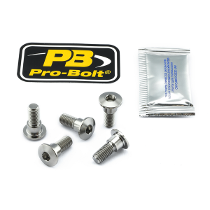 Brake Rotor Mounting Bolt Kit Silver, Unfinished