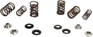 Valve Spring Kit, 1, nordicamoto.ro