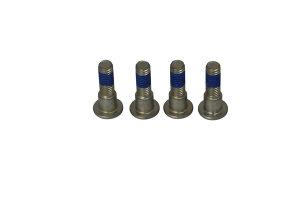 Brake Rotor Bolt Set Silver, Stainless Steel