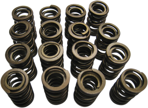Valve Spring Kit