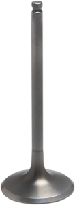 Tensilite® Engine Valve
