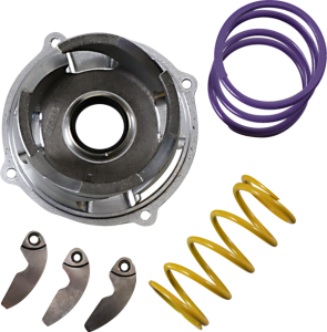 Pro Series Clutch Kit