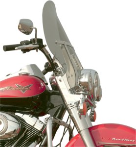 Windshield
