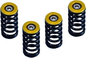 Clutch Spring Kit Black, Gold, Powder-coated, Anodized, 1, nordicamoto.ro